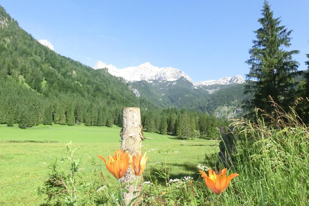 Hotel Garni Landhaus Buertlmair Hinterstoder Buitenkant foto