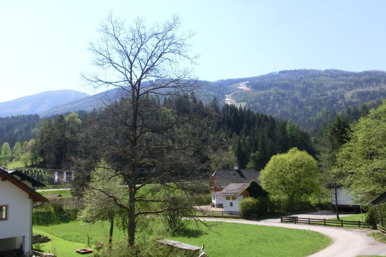Hotel Garni Landhaus Buertlmair Hinterstoder Buitenkant foto