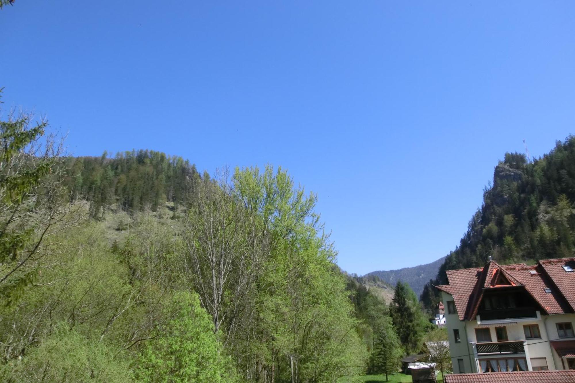 Hotel Garni Landhaus Buertlmair Hinterstoder Kamer foto